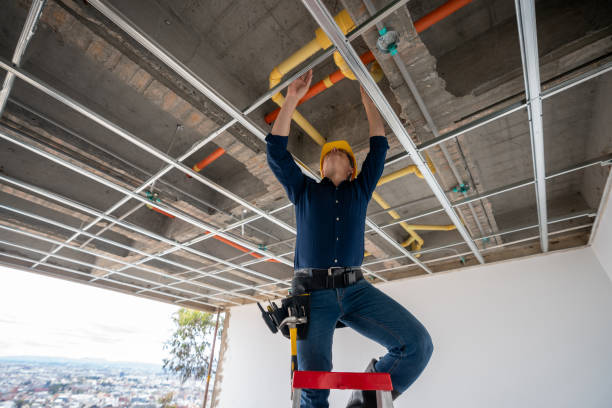 Best Plumbing Installation Services  in Brighton, IL
