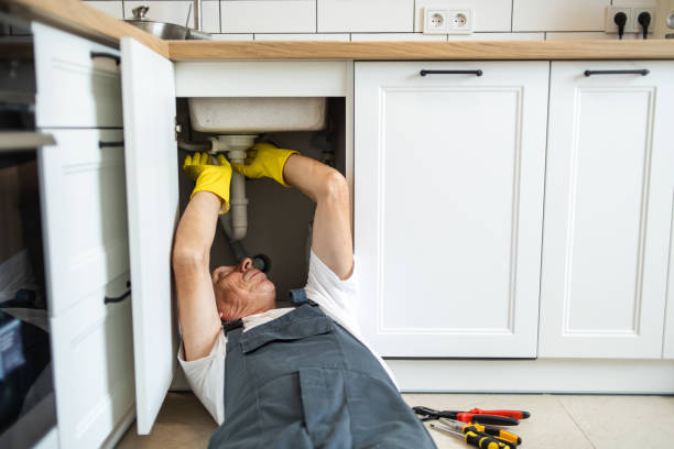 Best Shower Repair Services  in Brighton, IL