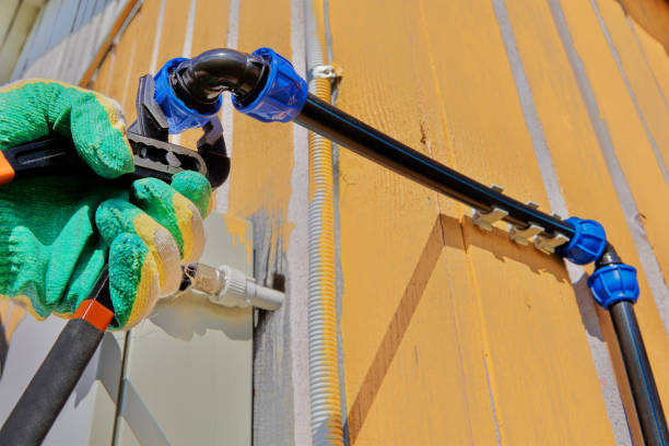 Best Water Leak Repair  in Brighton, IL