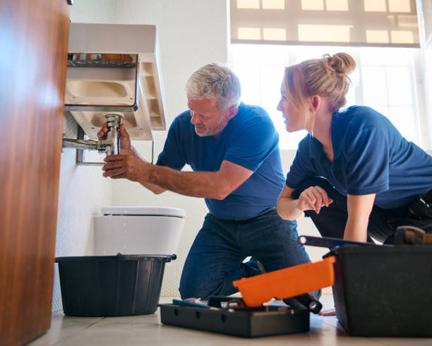 Best Boilers & Radiators  in Brighton, IL